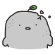 몽돌이