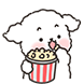 쫑아지