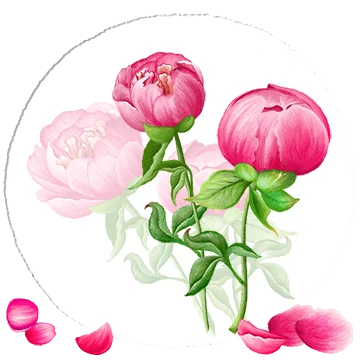 꽃으로 인사해요