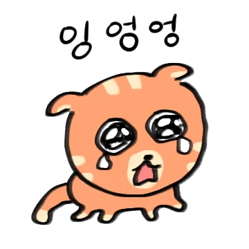 퇴짜를 너무 맞아서 조금 슬픈 야옹이