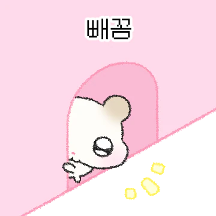 뽀용뽀용 러블리 햄쯋하