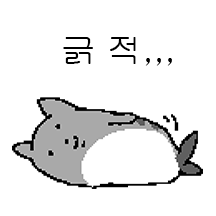 싱싱한 고등어 고양이 고고