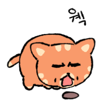 뒹굴뒹굴 야옹이