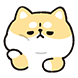 오늘도 시바