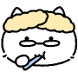 안경고양이