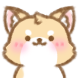딩고