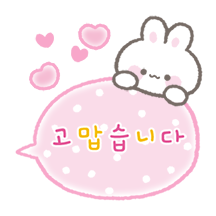 여기 봐! 쪼꼬미 토끼들
