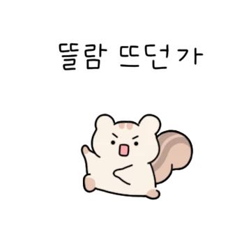 쪼람이는 하늘을 날다람쥐!