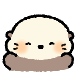 해달찡