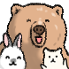 복슬복슬 곰식