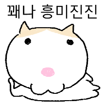 얼굴빵빵 얼빵냥이