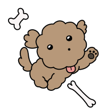 털뭉치 푸들! 마루는 진짜 강쥐!