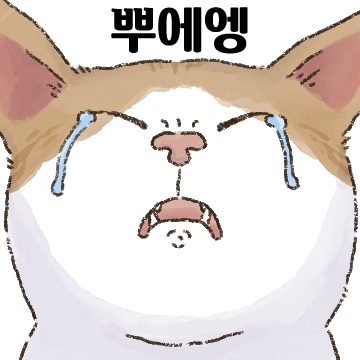 얼빡샷 고양이 4