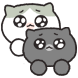 은씨네 고양이들