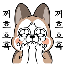 ㅠㅠ