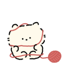 우리집 애옹이