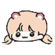꽁꽁냥냥커플
