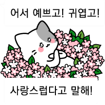 느끼멘트 시바 & 새끼고양이