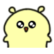 캔디곰