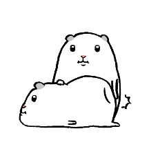 땟쥐땟쥐
