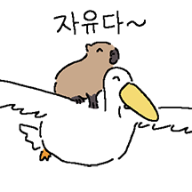 큐티바라와 동물친구들