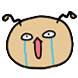 장투 개미