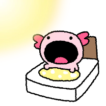 와! 놀라운 와파루파