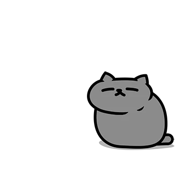그레이 고양이야 11