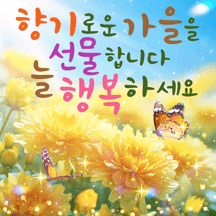 가을 감성 힐링메세지