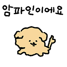 푸들이는 암파인이에요