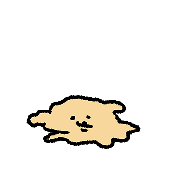 푸들이는 암파인이에요