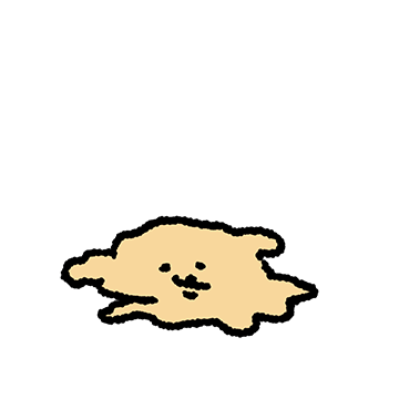 푸들이는 암파인이에요