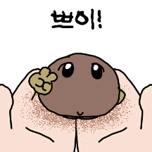 두비두 쫀 하루!
