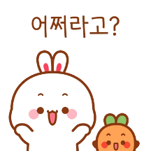 포동보동 토끼커플 11