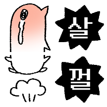 미니 껄쟁이