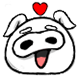 화이트피그