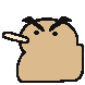 끼위새