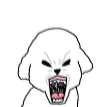 한따까리하는 말티즈