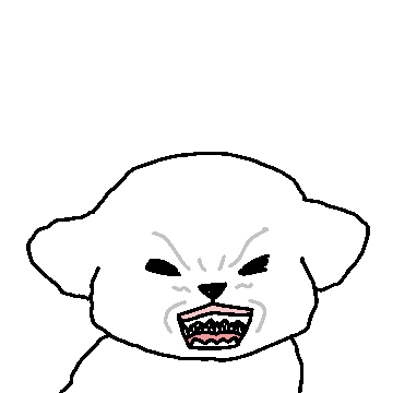 한따까리하는 말티즈