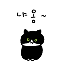 옆집 검은고양이