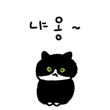 옆집 검은고양이