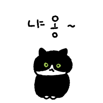 옆집 검은고양이