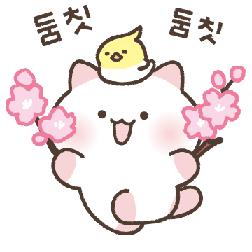 설렘폭발! 나의 아기 꽃냥이