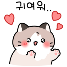 말랑뽀짝 고양이 커플3 (랙돌)