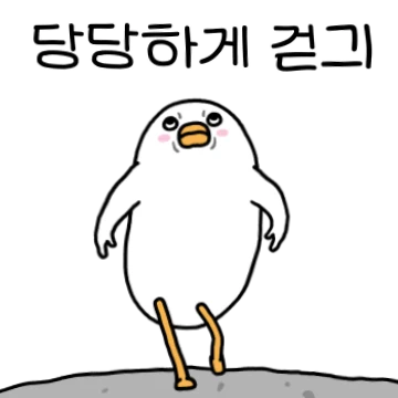당당한 트왈덕