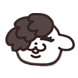 컴베알파오빠