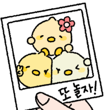 싸다 싸! 병아리콩 세일
