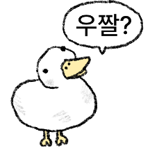 더럽오리
