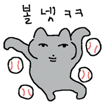 야구에 빠진 라쿤맨