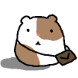 햄쯰